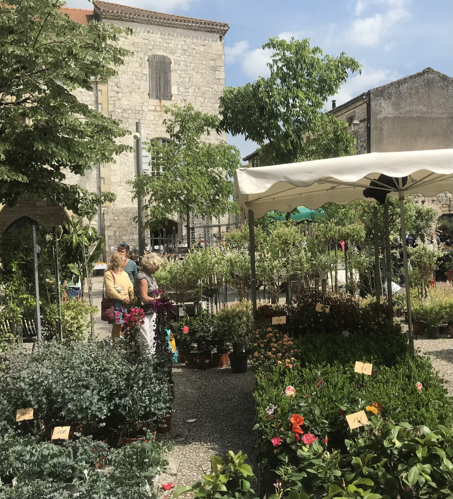 Painting
          Studio View